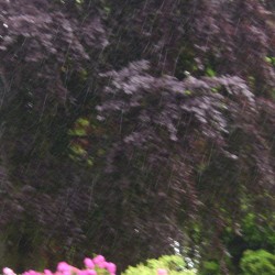 too lovely for the tomb