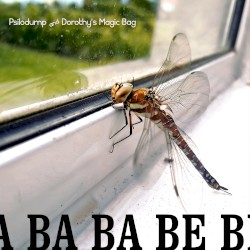 Ba Ba Ba Ba Be Bi Du