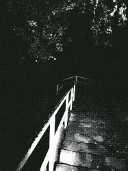 you saw me crying in my room because i was dying