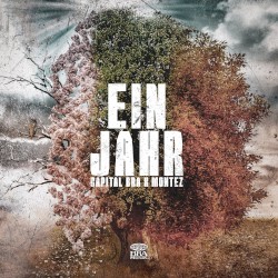 Ein Jahr