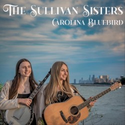 Carolina Bluebird