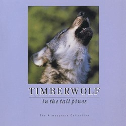 Timberwolf in the Tall Pines