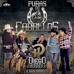 Puras de caballos