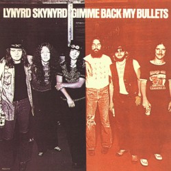 Gimme Back My Bullets