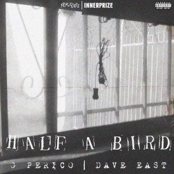 Half A Bird