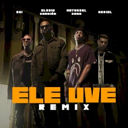 Ele uve (remix)
