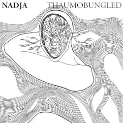 Thaumobungled
