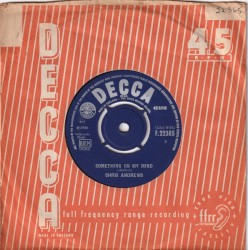 Something on My Mind / I’ll Do the Best I Can