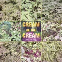 Cream of the Cream