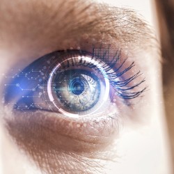 Eye