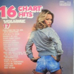 16 Chart Hits, Volume 17