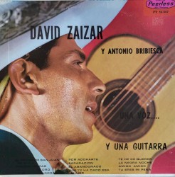 Una voz y una guitarra