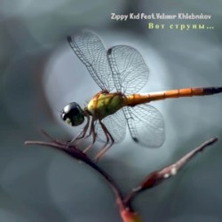 Вот Струны…