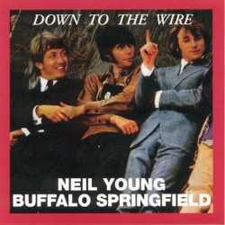 Meets Buffalo Springfield and The Squires