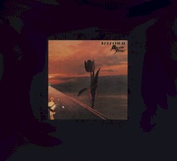 S.F. Sorrow