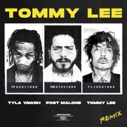 Tommy Lee (Tommy Lee remix)