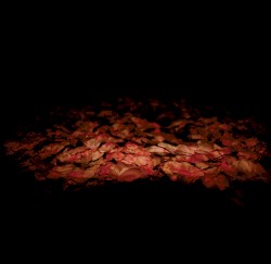 Unstable Equilibrium