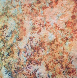 Des Traces Retrouvées I