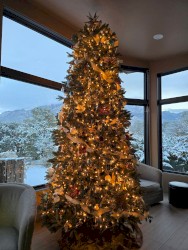 Your Soul knows the Geography of Your Rest