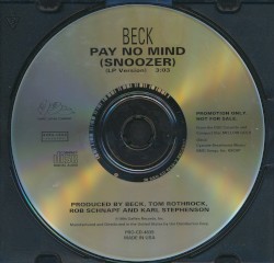 Pay No Mind (Snoozer)