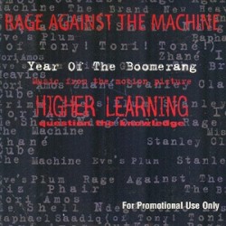 Year of the Boomerang