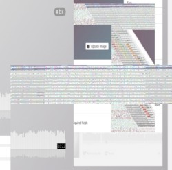 1B (Blanket Authority)