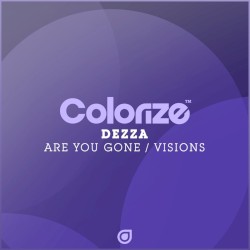 Are You Gone / Visions