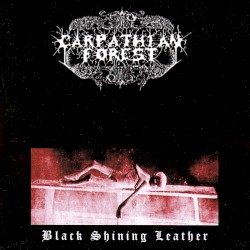 Black Shining Leather