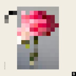 Forever / Paper Walls