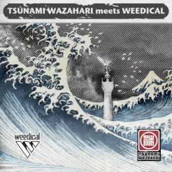 Tsunami Wazahari Meets Weedical