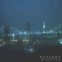 Ｗａｓｔｅｄ Ｄｉｇｉｔａｌ