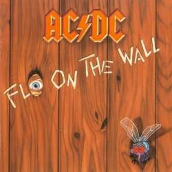 Fly on the Wall