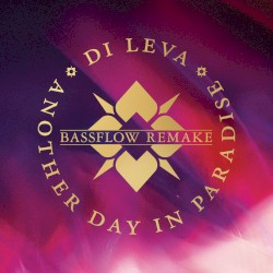 Another Day in Paradise (Bassflow remake)