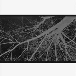 One Hundred Billion Galaxies