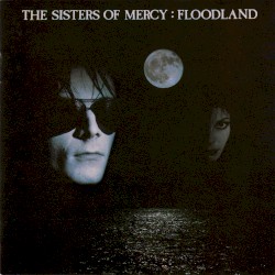 Floodland