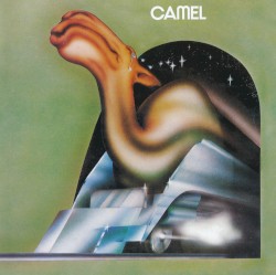 Camel