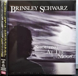 Shouting At The Moon