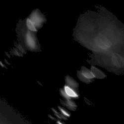 A Year of Voices Tuned to Silence