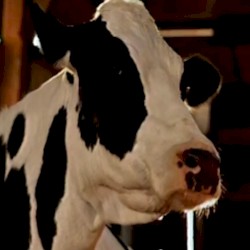 087: 宇宙の熱的死