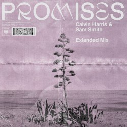 Promises (with Sam Smith) [Extended Mix]