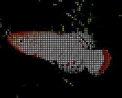 exotic fish mix