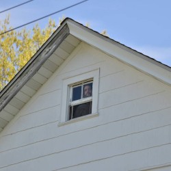 Window Up Above