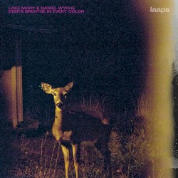 Deer’s Breathe in Every Color