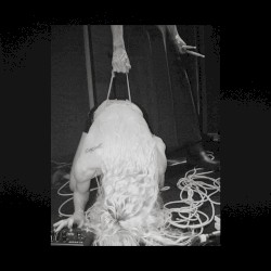 Suffer With Me (live in London)