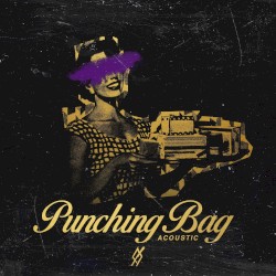 Punching Bag