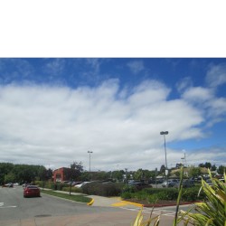 Errands 5.14.2016