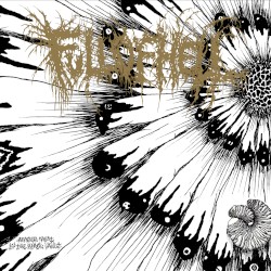 Amber Mote in the Black Vault