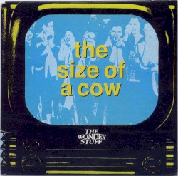 The Size of a Cow