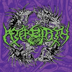 Foeticidal Embryo Harvestation