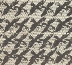 The Gascoigne Observatory